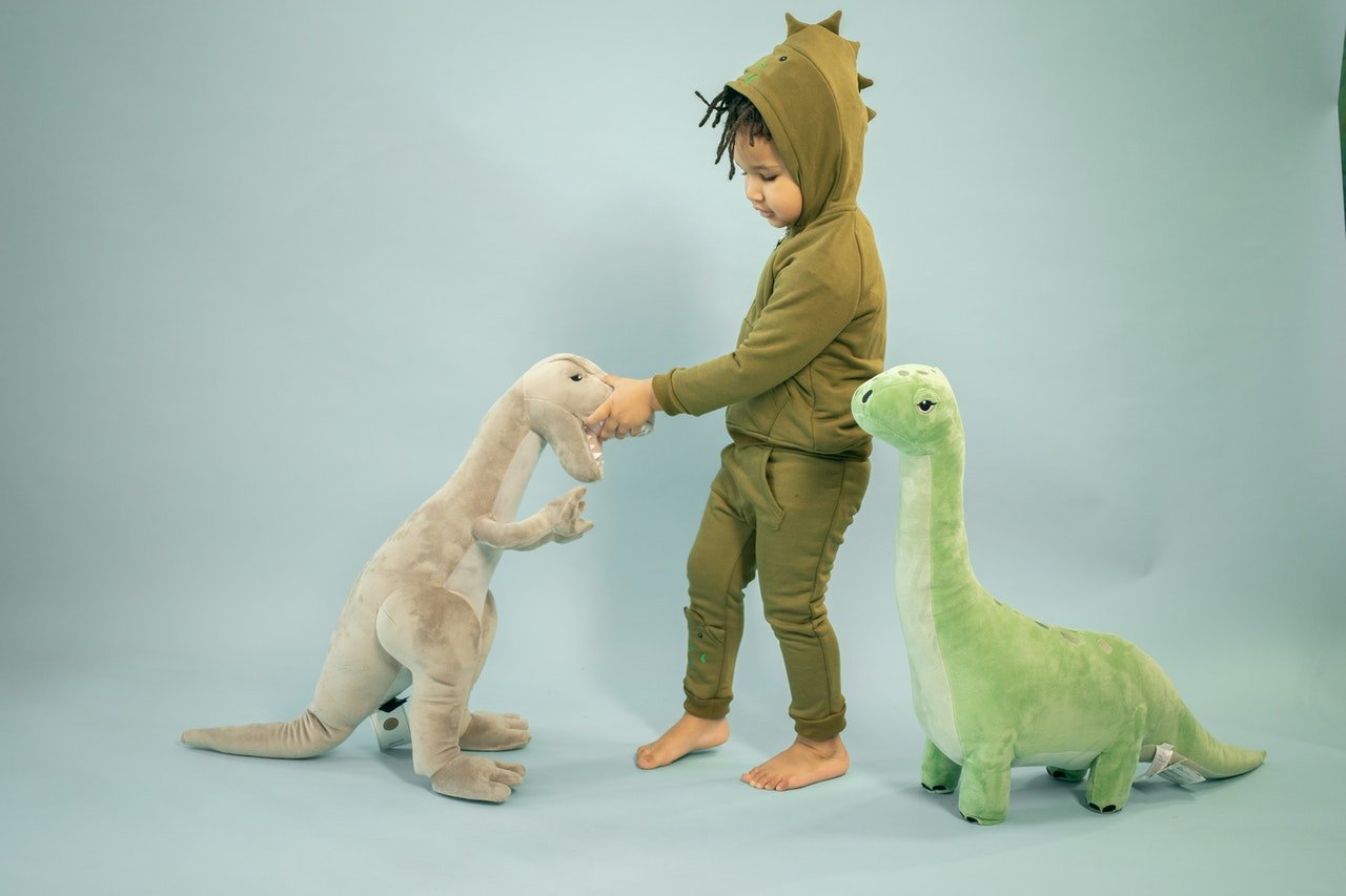 Déguisement Dinosaure Adulte Zhiwei - Combinaison Peluche Une Pièce - S à XL - Pour Fête Et Cosplay